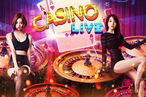 z7fun Live Betting
